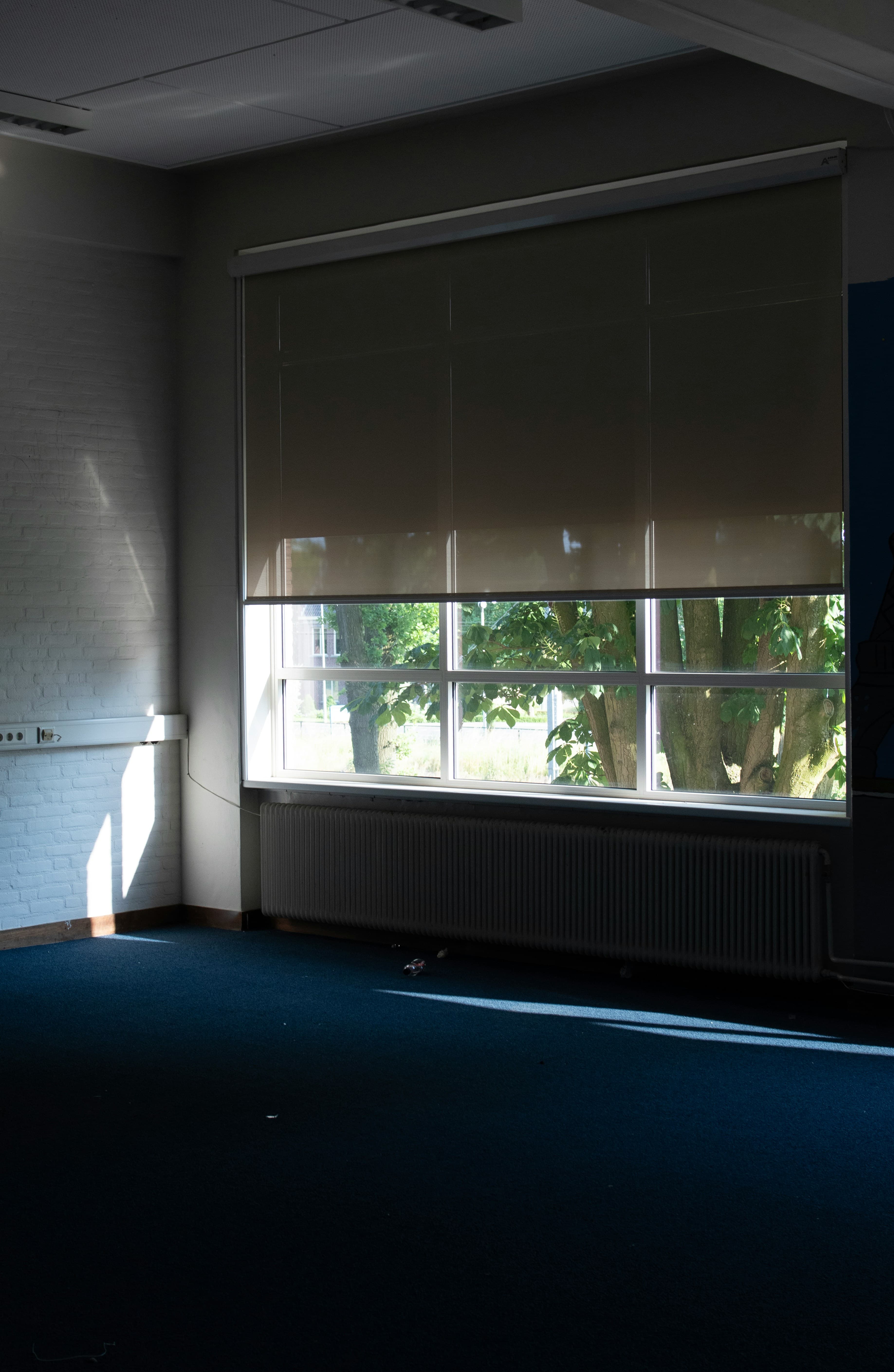 Blackout Blinds